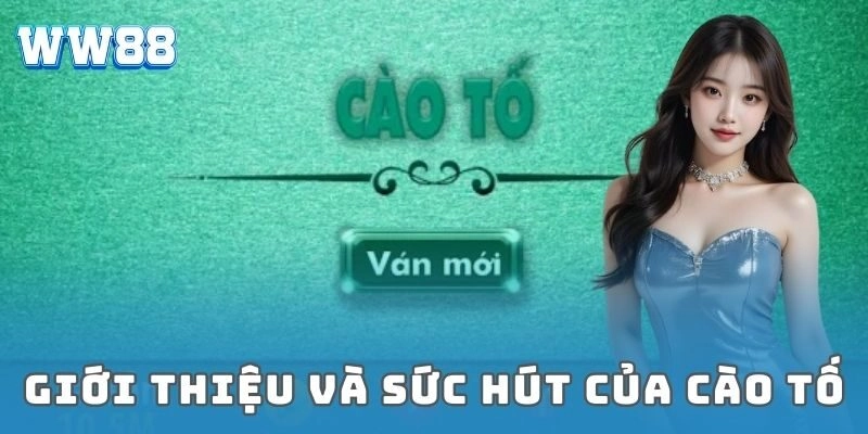 Cào tố WW88 – Trò chơi bài hấp dẫn với cơ hội thắng lớn Giới thiệu và sức hút của cào tố